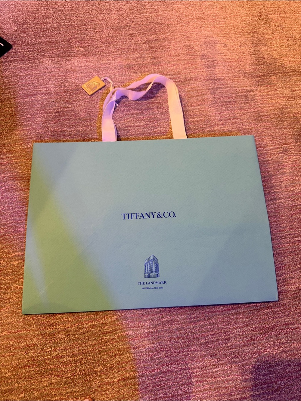 Tiffany & Co. Blue Shopping Bag with Ribbon Handles